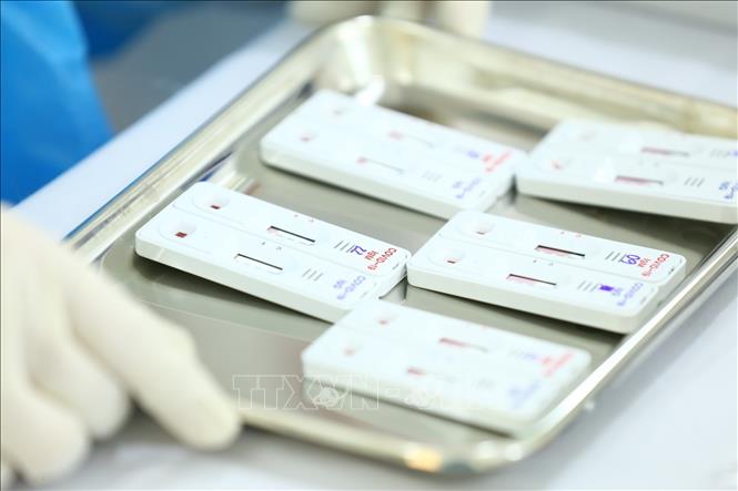 Lâm Đồng: Test nhanh SARS-CoV-2 kết hợp test nhanh ma túy đối với lái xe, phụ xe